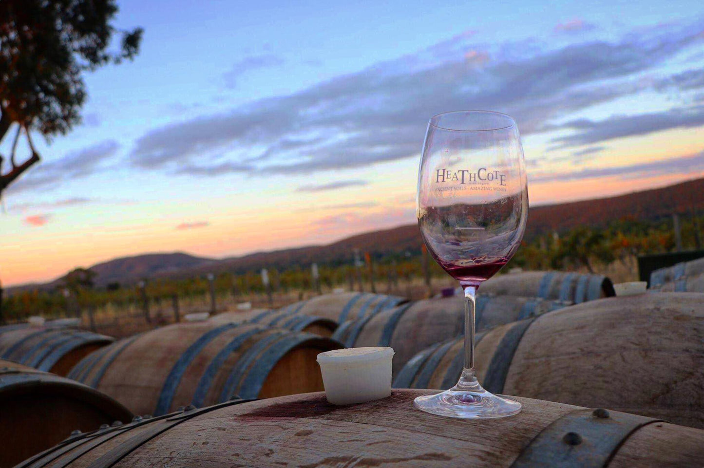 Spring Fiesta - Wine tasting